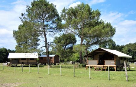Tente lodge10672 Saint-Julien-en-Born - Landes - photo