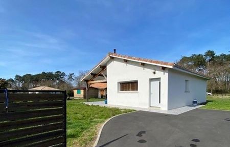 G&icirc;te n&deg;11603 Saint-Julien-en-Born - Landes - photo
